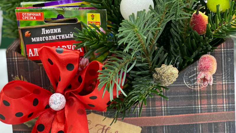 Россия 1 новый выпуск Новогодние подарки, которые будут радовать вас весь год.