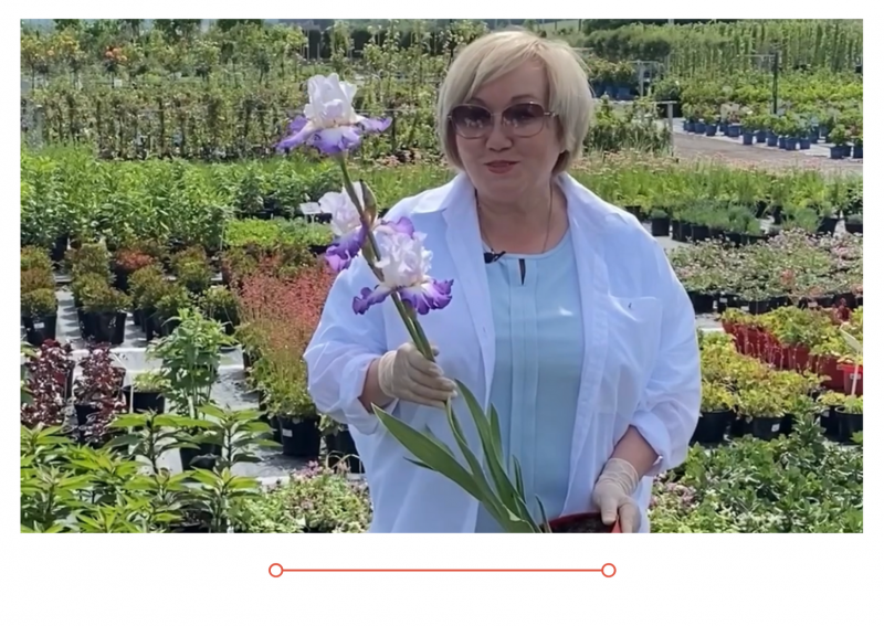 Россия 1 новый выпуск от 25.05.2021г. Многолетние растения в вашем саду