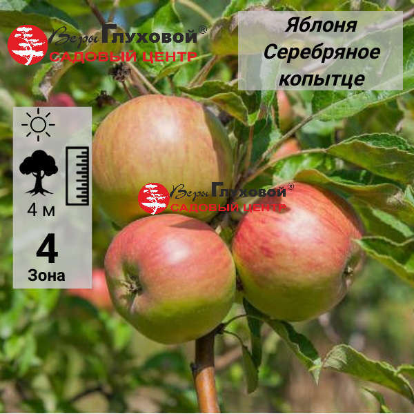 Основное изображение товара