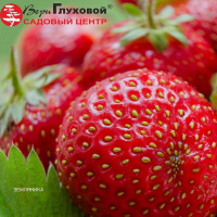 Поступление клубники 2020