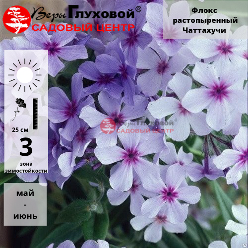 Основное изображение товара