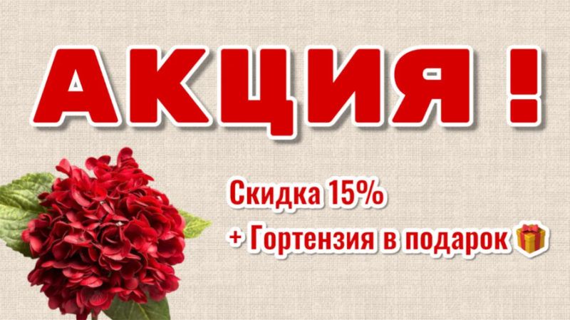 АКЦИЯ – ДВОЙНАЯ ВЫГОДА