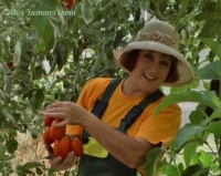 Добавлен новый выпуск "Дачные советы" от 21.01.2016г.