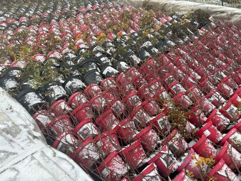 Зима близко