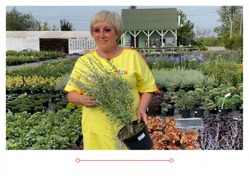 Новый выпуск "Дачные советы" от 02.09.21