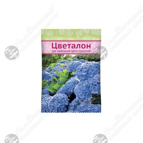 Цветалон на фото