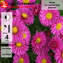 Основное изображение товара