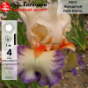 Ирис бородатый (Iris bearded) высокий Folie Douce С3 ФК/23