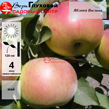 Основное изображение товара