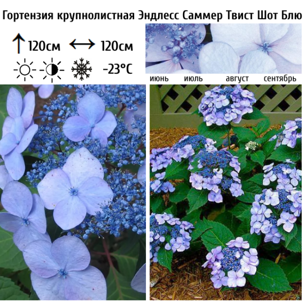 Основное изображение товара