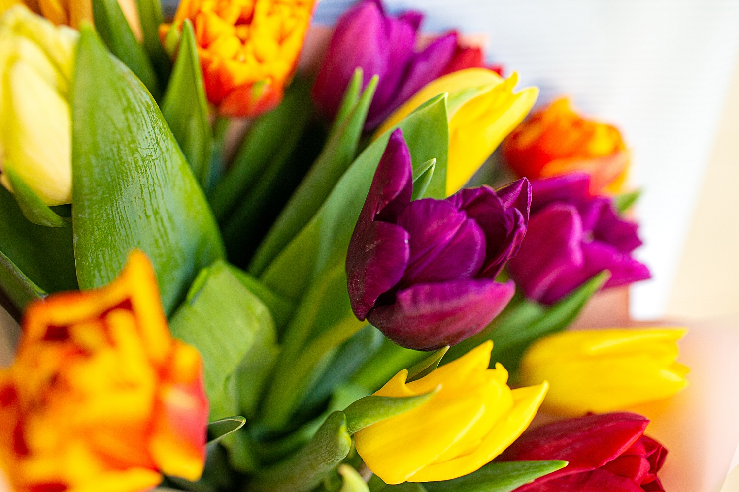 Пункт прием заказов весеннего настроения открыт!