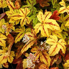 Основное изображение товара