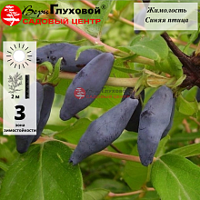 Основное изображение товара