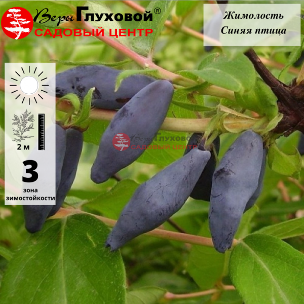 Основное изображение товара