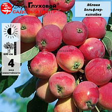 Рисунок 269.jpg