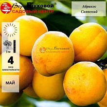 Основное изображение товара