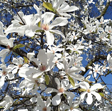 Основное изображение товара