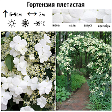 Основное изображение товара