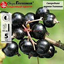 Основное изображение товара