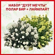 Набор гортензий 