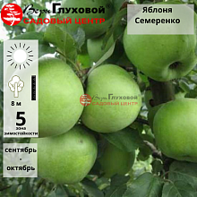 Основное изображение товара