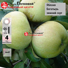 Основное изображение товара