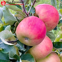 Рисунок 301.jpg