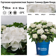 Основное изображение товара