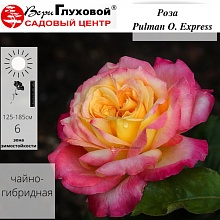 Основное изображение товара