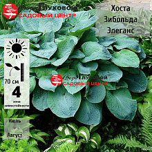 Основное изображение товара