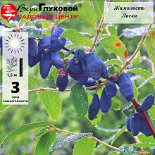 Основное изображение товара