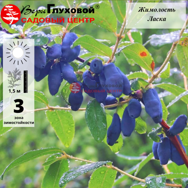 Основное изображение товара