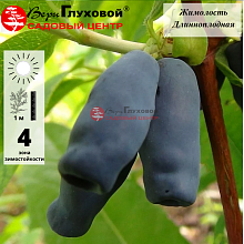 Основное изображение товара