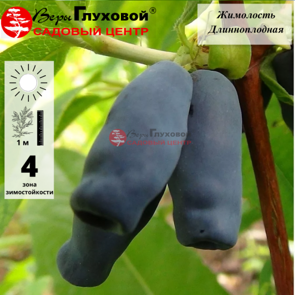 Основное изображение товара