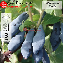 Рисунок 64.jpg