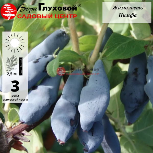 Рисунок 64.jpg