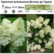Основное изображение товара