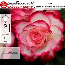 Основное изображение товара