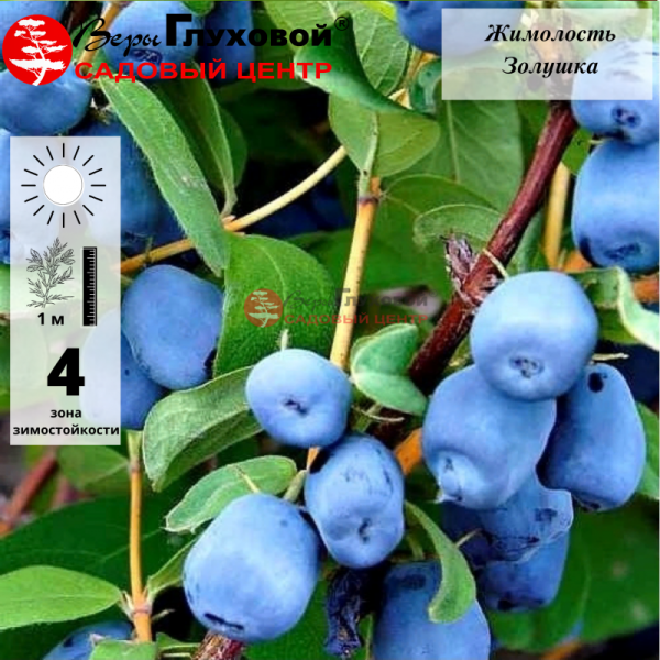 Основное изображение товара