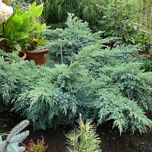 Основное изображение товара