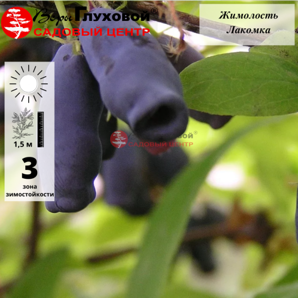 Основное изображение товара