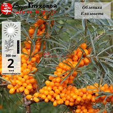 Рисунок 175.jpg