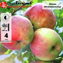 Яблоня Мечтательница (летний сорт)