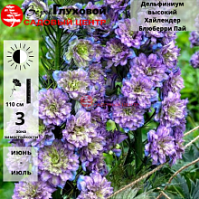 Основное изображение товара