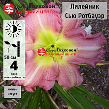 Основное изображение товара