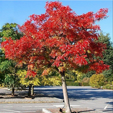 Основное изображение товара