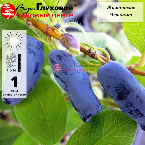 Основное изображение товара