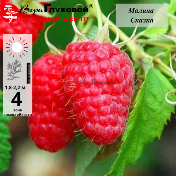 Рисунок 175.jpg