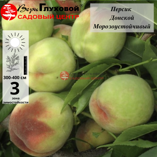 Персик Донской (морозоустойчивый сорт)